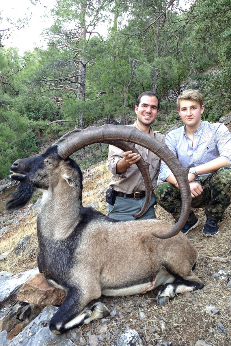 ibex2