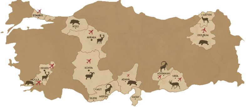 map-bg
